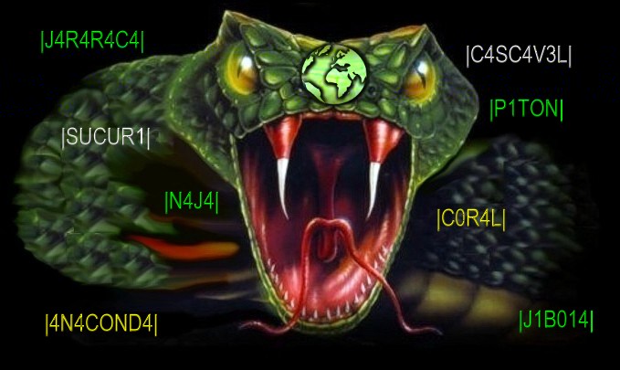 C0BR4S T34M = BR4S1L  H4CK3RS