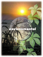 Environmental Division